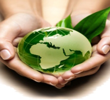 Environnement : Une vraie opportunité pour l'Afrique et le reste du monde