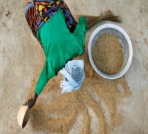 Sénégal : l’insécurité alimentaire menace six départements