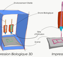 La prochaine révolution pharmaceutique pourrait sortir d'une imprimante 3D La prochaine révolution pharmaceutique pourrait sortir d'une imprimante 3D