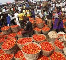 Afrique : éliminer les pertes post-récoltes pour mettre un terme à la faim