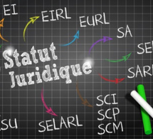 Recensement des entreprises : 82% sont des entreprises individuelles