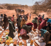 L'ONU salue les efforts pour prévenir la famine dans quatre pays mais juge qu'il faut faire plus