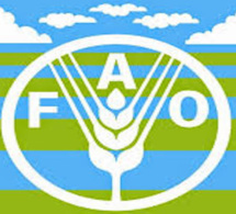 La Journée mondiale de l’alimentation célébrée le 16 octobre