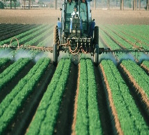 OCDE  : pour une industrialisation «propre» de l'Afrique