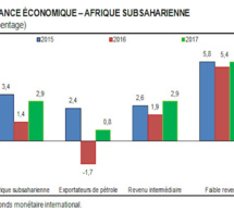 Afrique subsaharienne : la croissance attendue à 2, 4 %