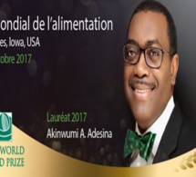 Akinwumi Adesina, Président de la Bad : «L’Afrique détient la clé pour nourrir neuf milliards de personnes d’ici à 2050»