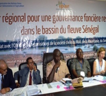 BASSIN DU FLEUVE SENEGAL : VERS UNE CHARTE FONCIÈRE