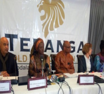 Rapport Rse 2016 de Teranga Gold Corporation : 6,15 tonnes d'or produites, 30 milliards Fcfa reversés à l'Etat et...