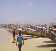 Gouvernance des pêches : 4 Etats dont le Sénégal frappent à la porte de la FiTI