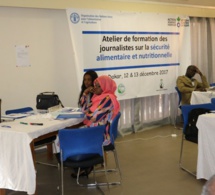 SECURITE ALIMENTAIRE ET NUTRITIONNELLE : Près d’une dizaine de journalistes outillés par la Fao et Action contre la faim