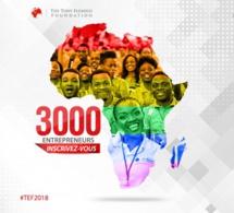 Soutien à l’entreprenariat de la Tef : Les candidatures pour le 4e cycle du programme de développement acceptées
