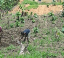 Togo : l'économie renouera avec la croissance dès cette année