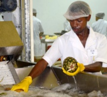 Le fonds Miarakap investira 30 milliards d'ariarys dans les PME malgaches