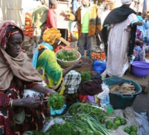 Sénégal : Repli des prix des « produits alimentaires et boissons non alcoolisées » au 4eme trimestre