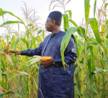 SIA : LES RÉSULTATS DE L’AGRICULTURE SÉNÉGALAISE MAGNIFIÉS
