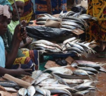 Sénégal : le secteur informel représente 41,6% du PIB