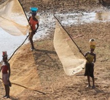 Côte d'Ivoire  : les pays de l'Union du fleuve Mano lancent un projet de gestion des ressources en eau