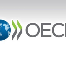 OCDE : Les petites entreprises ont de plus en plus recours aux nouveaux modes de financement, tandis que le crédit bancaire recule