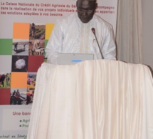 Lancement du Programme de Transformation SYNERGIE 2022 : La CNCAS veut rester leader dans le financement des chaines de valeurs agricoles