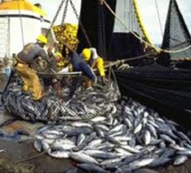 Sénégal : Repli de l’activité du secteur primaire en février 2018