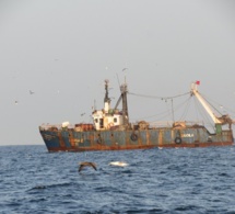 Lutte contre la pêche illicite : La CSRP travaille à la mise en place d’un registre sous régional des navires de pêche