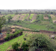 DÉVELOPPEMENT DU MARAICHAGE DANS LA ZONE DES NIAYES : 16 Forages pour l’irrigation fonctionnels