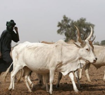 Sénégal : Regain de l’activité économique interne en Mars