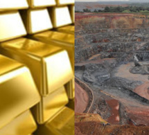 ​ Une hausse de 18,9% des exportations en mars au Sénégal avec l'or, l'acide et le poisson en...