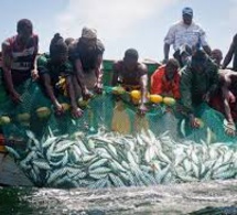 Vers la création du comité national consultatif de suivi des directives volontaires pour une pêche durable