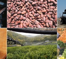 MARCHE DES MATIERES PREMIERES: recul des cours en avril 2018
