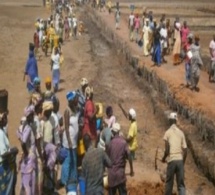 Insécurité alimentaire : Le plan d’urgence de résilience du Cnsa à Sédhiou