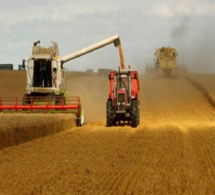 ​ Les polluants issus de l’agriculture représentent une menace sérieuse pour l’eau du monde entier