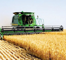​Blé tendre français : La production attendue à 1017,1 Millions de tonnes