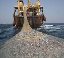 ​La fraude sur le tonnage organisée autour de la pêche