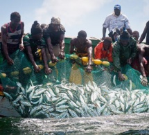 Mauritanie : les pêcheurs guet-ndariens autorisés à prendre 50 000 tonnes de poissons