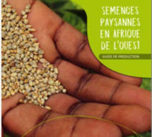 Législation semencière: les agriculteurs dénoncent le « forcing » des institutions régionales