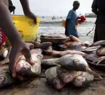 Pêche : l'UE se félicite d'un partenariat gagnant-gagnant avec le Gabon