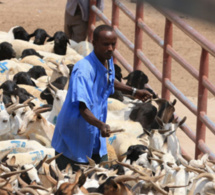 Agir vite pour empêcher les crises de se transformer en urgences humanitaires (FAO)