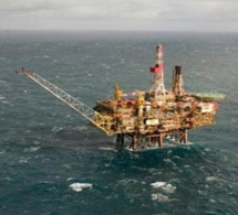 L’Or Noir du Sénégal présenté au public, samedi L’Or Noir du Sénégal présenté au public, samedi