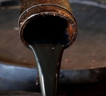 GESTION DES PRIX DU PETROLE : un dilemme complexe de diplomatie énergétique pour l’Opep en Afrique GESTION DES PRIX DU PETROLE : un dilemme complexe de diplomatie énergétique pour l’Opep en Afrique