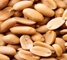 CAMPAGNE AGRICOLE : près 29 milliards FCFA alloués à la Sonacos CAMPAGNE AGRICOLE : près 29 milliards FCFA alloués à la Sonacos