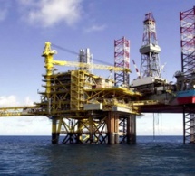 RDC : les droits pétroliers dans le parc national de la Salonga seraient nuls et non avenus RDC : les droits pétroliers dans le parc national de la Salonga seraient nuls et non avenus