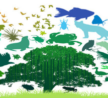 Un rapport de la FAO analyse la situation des végétaux, des animaux et des micro-organismes Un rapport de la FAO analyse la situation des végétaux, des animaux et des micro-organismes