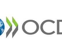 Les risques et vulnérabilités des marchés obligataires des sociétés Les risques et vulnérabilités des marchés obligataires des sociétés