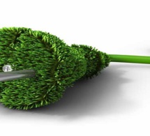 GAMBIE : la BEI soutient une initiative d'énergie propre de 142 millions d'euros GAMBIE : la BEI soutient une initiative d'énergie propre de 142 millions d'euros