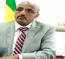 Tewolde Gebremariam, Dg Ethiopian airlines : «il est trop tôt pour spéculer sur la cause de l'accident»