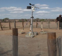Devenue intrant au Sénégal, l’information climatique pose maintenant le défi de sa prise en charge financière Devenue intrant au Sénégal, l’information climatique pose maintenant le défi de sa prise en charge financière