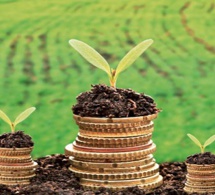 La BAD promet 25 milliards de dollars au financement climatique pour 2020-2025 La BAD promet 25 milliards de dollars au financement climatique pour 2020-2025