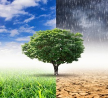 Réaliser les engagements de Paris en matière de changement climatique