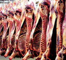 Sénégal : baisse des abattages contrôlés de viande, en variation trimestrielle Sénégal : baisse des abattages contrôlés de viande, en variation trimestrielle